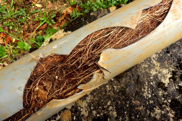 trenchless pipe relining sydney